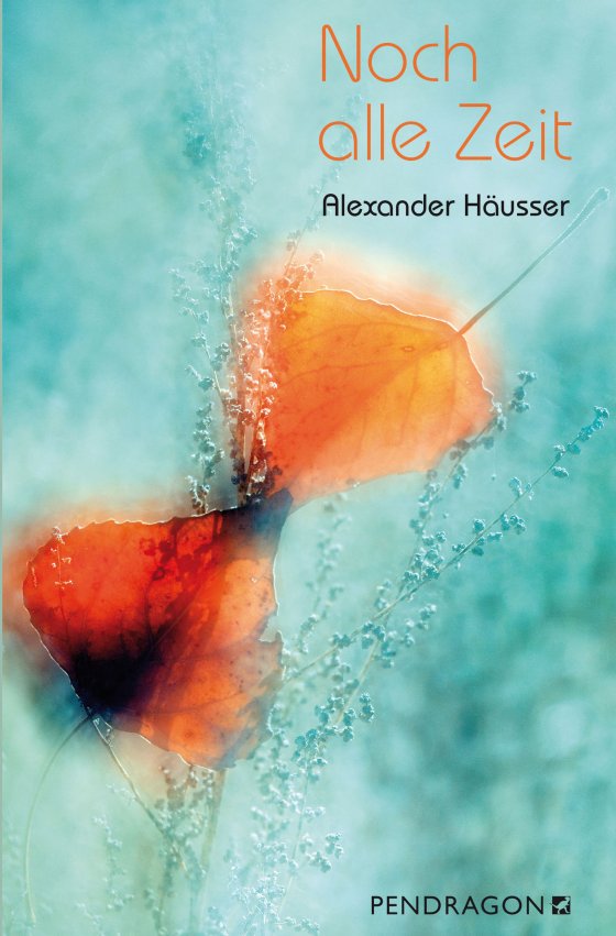 Buchcover: Noch alle Zeit von Alexander Häusser