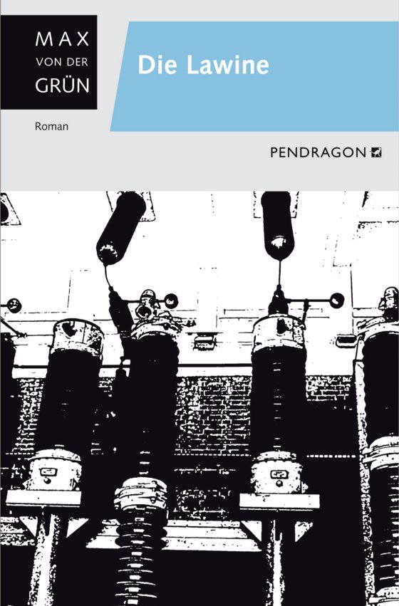 Buchcover zu Die Lawine von Max von der Grün