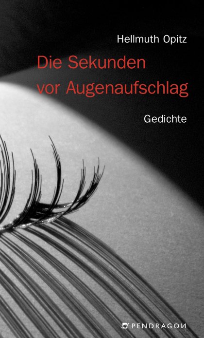 Buchcover zu Die Sekunden vor Augenaufschlag von Hellmuth Opitz