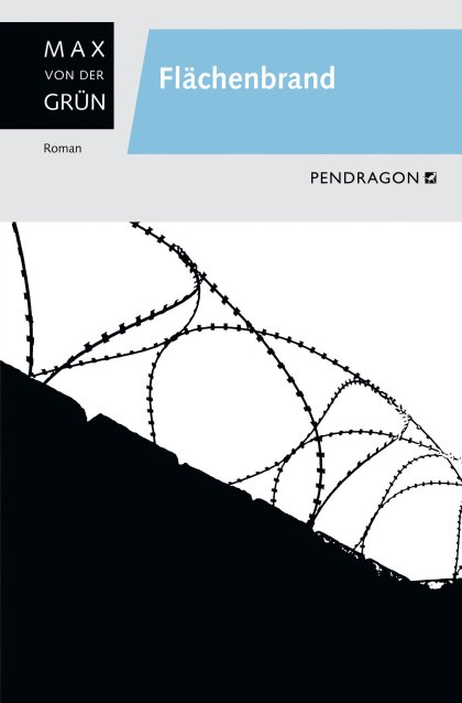 Buchcover zu Flächenbrand von Max von der Grün