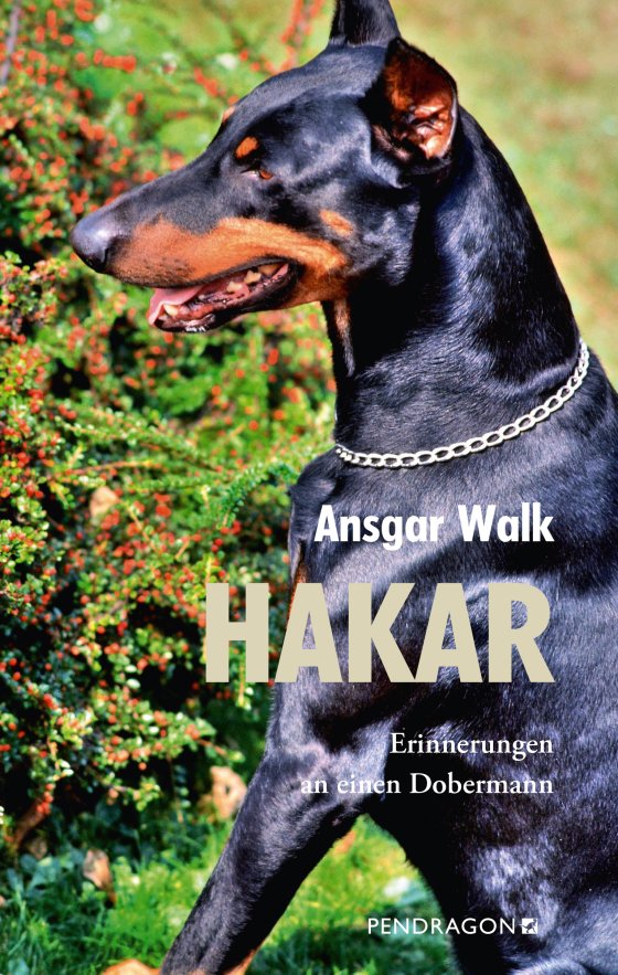Buchcover: Hakar von Ansgar Walk