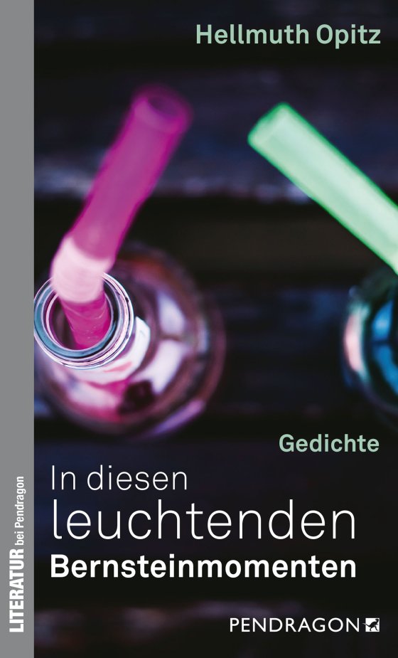 Buchcover zu In diesen leuchtenden Bernsteinmomenten von Hellmuth Opitz